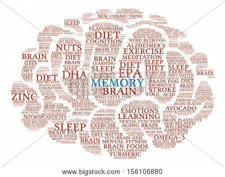 Memory Brain Word Cloud