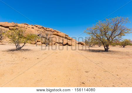 The Namib Desert At Twyfelfontein, In The Majestic Damaraland Brandberg Region, Scenic Travel Destin