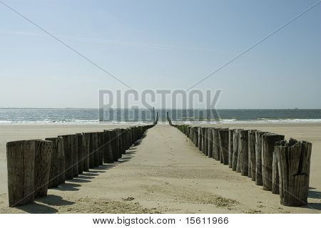 wooden poles on the beach to break the waves