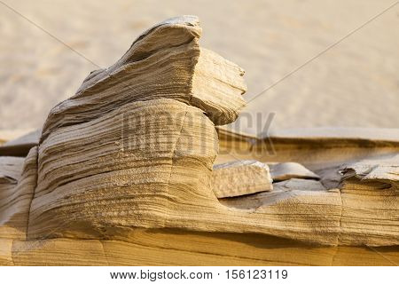 Sand stone in the desert with shallow depth of field