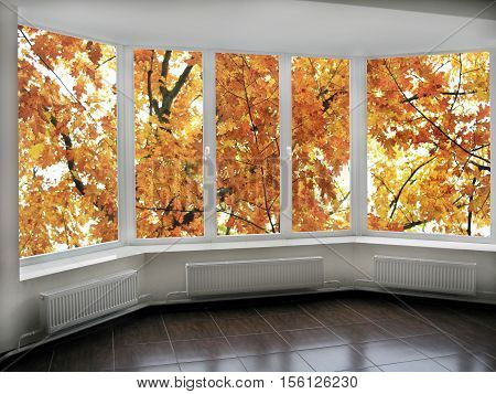 big panoramic windows with view to oaken autumnale forest