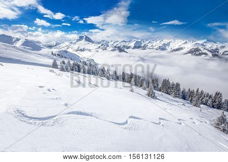 Trees covered by fresh snow in Austria Alps from Kitzbuehel ski resort - one of the best ski resort in the workd with 54 cable cars 170 km prepared skiing slopes and place of famous hahnenkamm races.