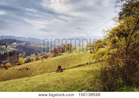 Autumn landscape in the Carpathian mountains in Romania, Poiana Marului.