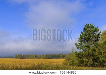 cloudy sky over the field with harvested