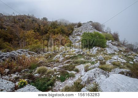 Beautiful Autumn Landscape in mountain Montenegro .
