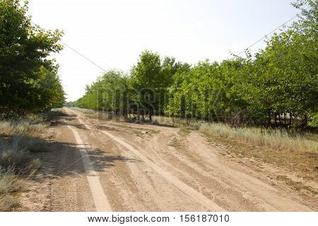 The road in the desert in the summer. Volgograd region Russia
