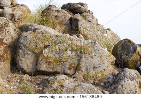 Fossil plants on rocks closeup. Nature Monument -Kamyshinskye Mountain Ears. Volgograd region Russia