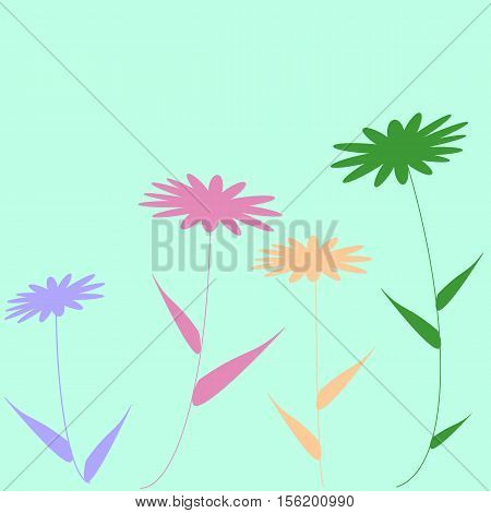 flower illustration camomile vector beauty light 
leaves