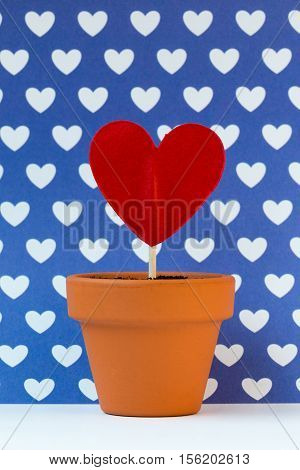 my love for you is growing against a blue background