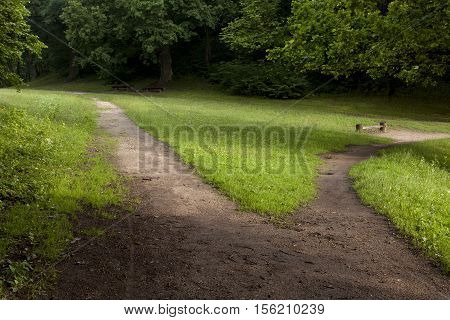 Trail in the park splitting into two. Green trees and grass field with benches. Summer in the park.