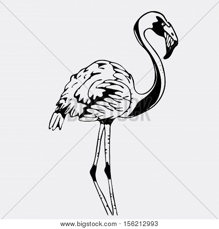 Hand-drawn pencil graphics, bird, flamingo. Engraving, stencil style. Black and white logo, sign, emblem, symbol Stamp seal Simple illustration Sketch