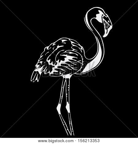 Hand-drawn pencil graphics, bird, flamingo. Engraving, stencil style. Black and white logo, sign, emblem, symbol Stamp seal Simple illustration Sketch
