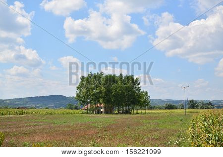 Lonesome old peasant house surrounded by few trees in central Serbia