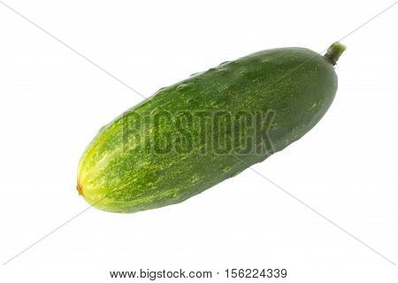 Cucumber isolated on white background. Fresh cucumber.