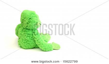 grün teddy