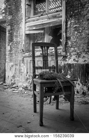The backyard of the abandoned house in the town of Doel Belgium