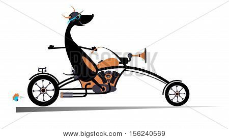 Biker dog. Biker, motorcycle, dog, vector, illustration