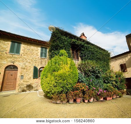 flowers in a small square in Montalcino Italy