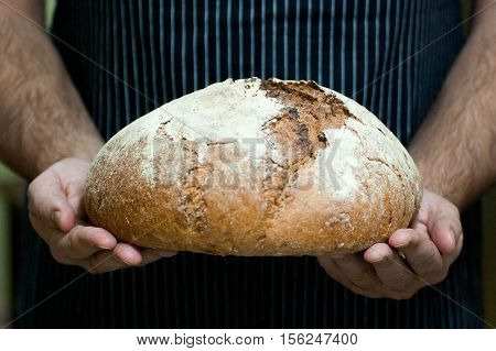 Homemade fresh bread is in the hands of men.
