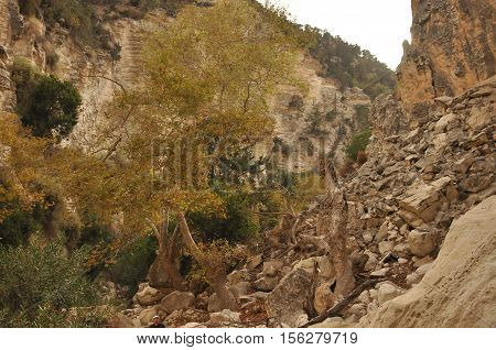 Gorge Avakas Cyprus. Rocks and high walls.