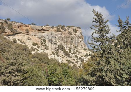 Gorge Avakas Cyprus. Rocks and high walls.