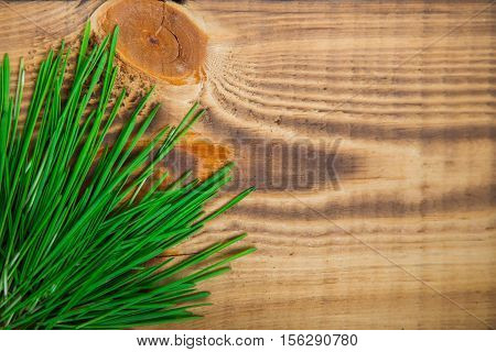 Bright Spring.Happy easter. Spring background. A bunch of lush green spring grass on a background of brown wooden desk. Free space