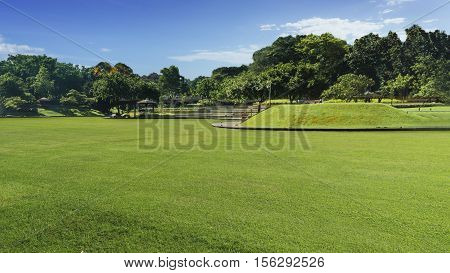 cityscape and trees grassland garden with water pool at the business town in the morning