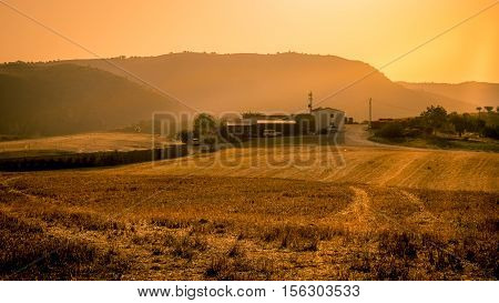 A beauitiful landscape view of a golden cornfield in Andaluicia Southern Spain