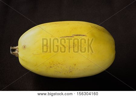 Fresh yellow spaghetti squash on a black background