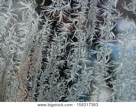 Patterns on glass winter nature process frost cold macro closeup
