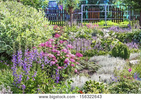 Flower decoration of a small garden in the conditions of Siberian climate