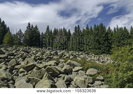 Unique stone river big granite stones on rocky river in the Vitosha National Park Mountain , Bulgaria