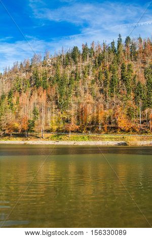 Lake Bajer, colorful autumn landscape, Fuzine, Gorski kotar, Croatia
