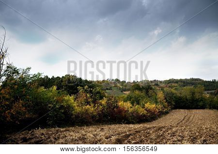 A field in autumn, before the storm