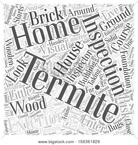 Termite Inspection Exterior word cloud concept text back ground