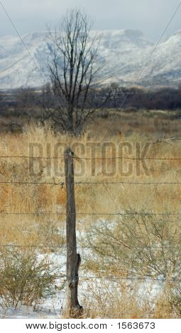 Guadalupe Mountains New Mexico