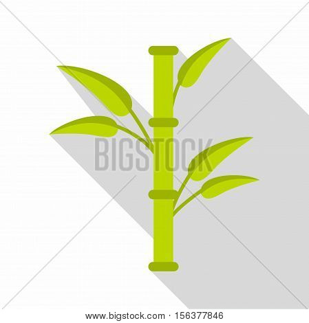 Bamboo icon. Flat illustration of bamboo vector icon for web design