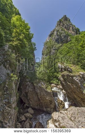 Landscape with Green forest around Erma River Gorge, Bulgaria