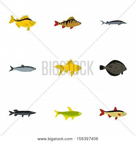 Species of fish icons set. Flat illustration of 9 species of fish vector icons for web