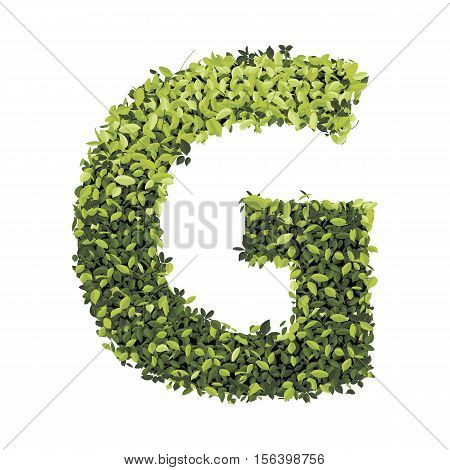 Letter G.  Alphabet of green leaves collection. Decorative symbols isolated on white background.