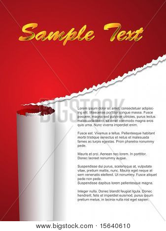 Torn paper cover vector background with copyspace.