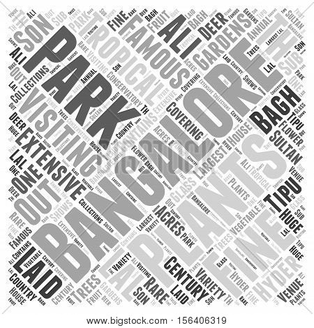 Visiting Bangalore text background word cloud concept