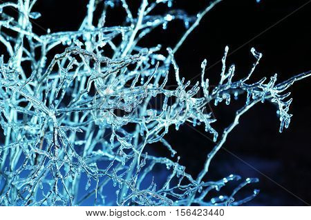 frosen icicles on tree branches night sceen close up picture