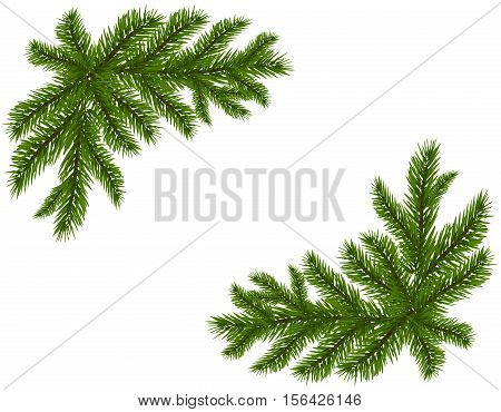Two green spruce branches realistic. Placed in the corners. Fir branches. Isolated on white background. Christmas vector illustration