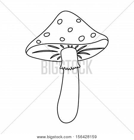 Amanita icon in outline style isolated on white background. Mushroom symbol vector illustration.
