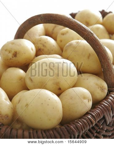 Potatoes in the basket