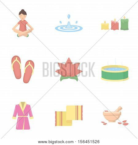 Spa set icons in cartoon style. Big collection of spa vector symbol stock