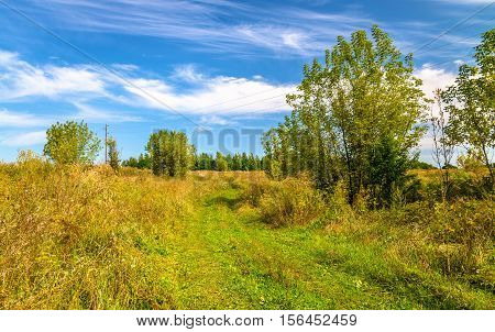 Typical rural landscape of Kursk region, Bolshoe Gorodkovo village, Russia