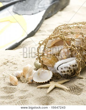 Flossen und Muscheln am Strand