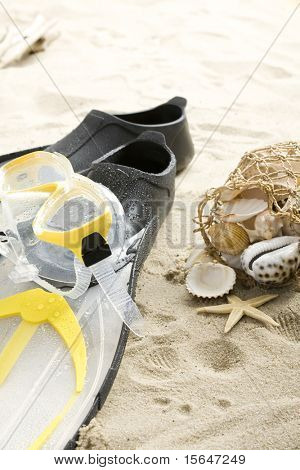 Flossen und Muscheln am Strand